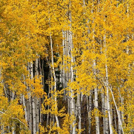 Апарт готель Aspen Springs Енджел Файєр Екстер'єр фото